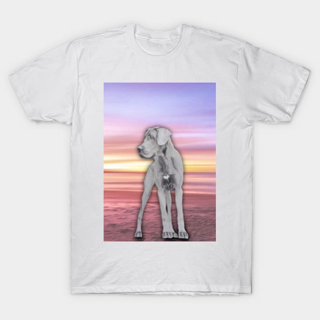 Great Dane In Sunset T-Shirt by NikkiBear67